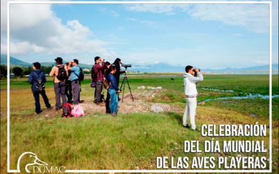 Celebración del Día Mundial de las Aves Playeras en el Lago de Cuitzeo