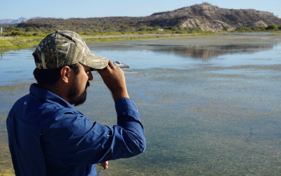 DUMAC está generando información importante que servirá de apoyo a la conservación de los sitios Ramsar en México