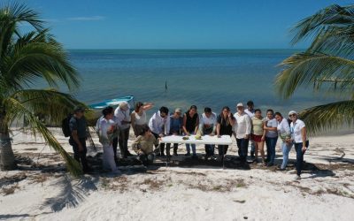 Taller de lanzamiento del proyecto de restauración WRI-PPD de manglares en el sureste de México
