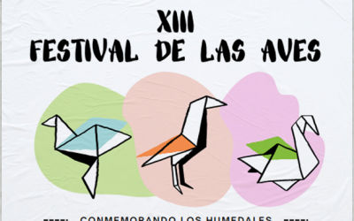 XIII Festival de las Aves Migratorias del Occidente de México